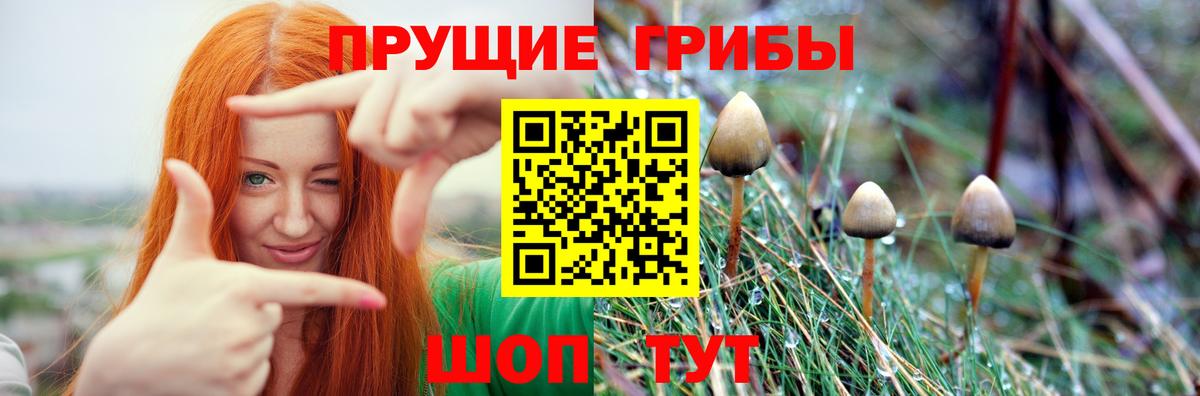 Псилоцибиновые грибы ЛСД  Псилоцибиновые грибы Magic Shrooms  Магнитогорск  Вход с VPN 